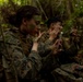 U.S. Marines participate in COMMSTRAT Field Training Exercise 2025