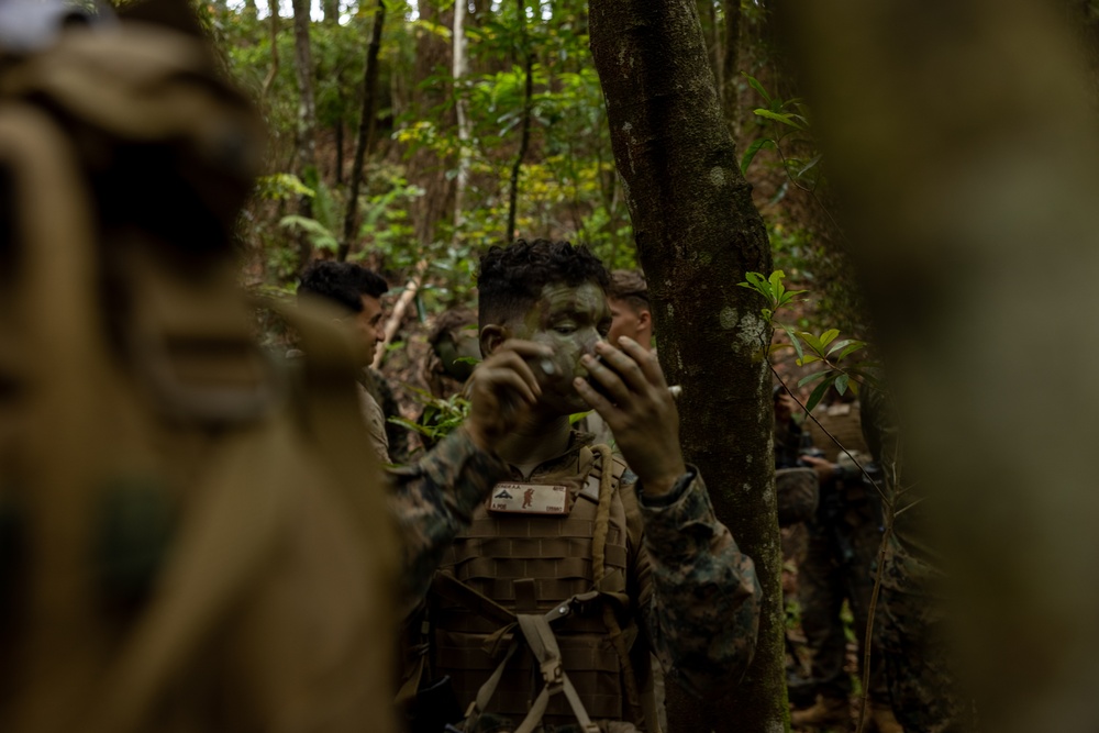 U.S. Marines participate in COMMSTRAT Field Training Exercise 2025