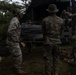 31st MEU conducts CSSA during MEUEX