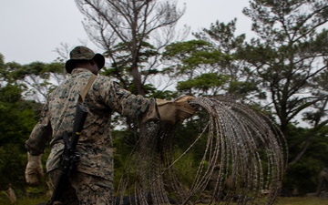 31st MEU conducts CSSA during MEUEX
