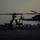 U.S. Marines assigned to HMLA-269 and VMM-263 (REIN) conduct FARP exercise