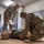 Idaho National Guard hosts Region VI Best Warrior Competition Idaho National Guard hosts Region VI Best Warrior Competition