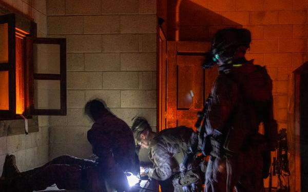 3rd Bn., 1st Marines conducts day, night raids during EOTG raid leaders course