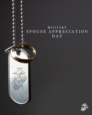 Wedding Crash, Package
