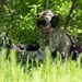 509th SFS enhances joint force capabilities with ARNG 1-135 AHB