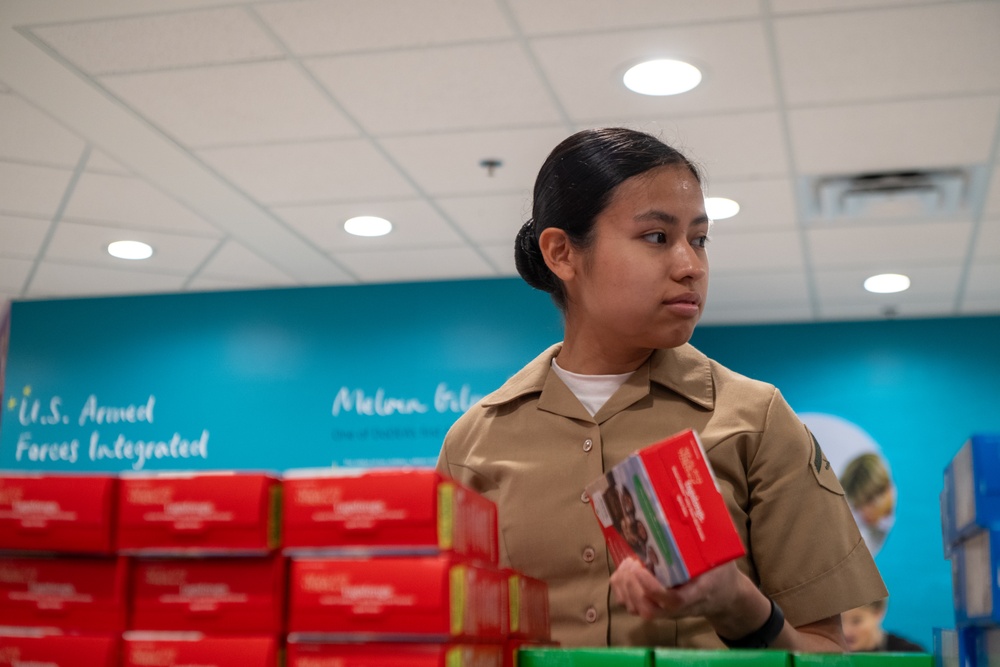 Pentagon Public Service Recognition Week