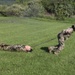 Region II Best Warrior 2025: Day 3