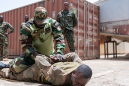 Military Members from Seven African Nations Engage in VBSS Training