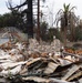 NEPA, archaeology specialists support largest USACE wildfire cleanup to date
