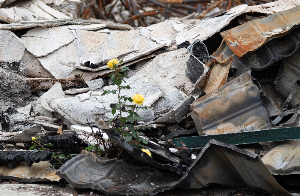 NEPA, archaeology specialists support largest USACE wildfire cleanup to date