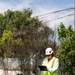 NEPA, archaeology specialists support largest USACE wildfire cleanup to date