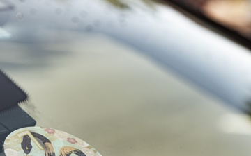 Rounding up the 2025 Road Tax Rodeo