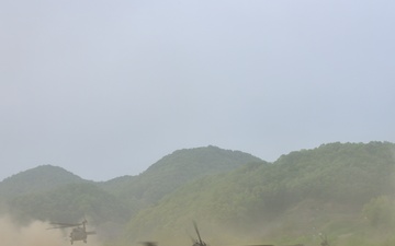1st Battalion, 2nd Stryker Brigade Combat Team conducts Air Assault Operations
