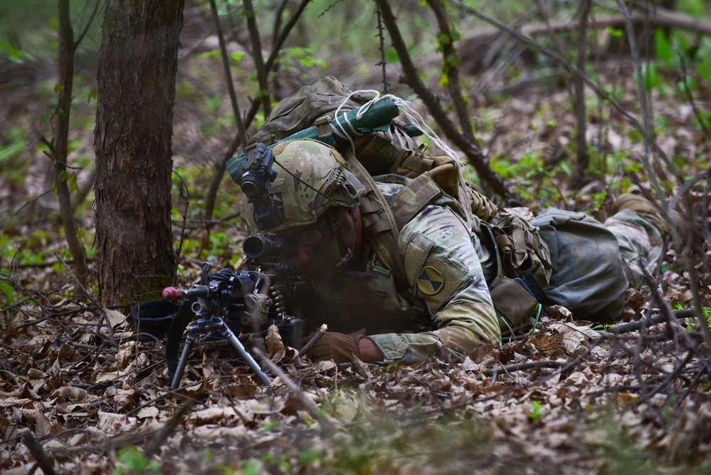 1st Battalion, 2nd Stryker Brigade Combat Team conducts Air Assault Operations