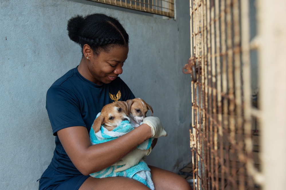 Blue Ridge Sailors volunteer at an animal shelter
