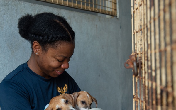 Blue Ridge Sailors volunteer at an animal shelter