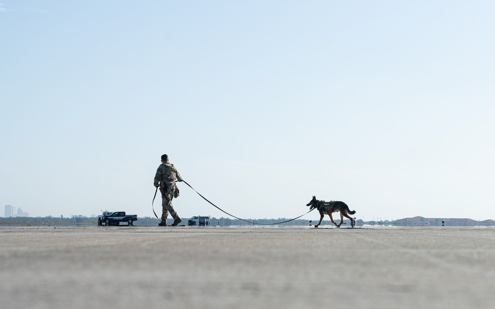MacDill Defenders conduct NORI security sweep