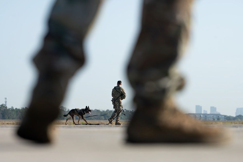 MacDill Defenders conduct NORI security sweep