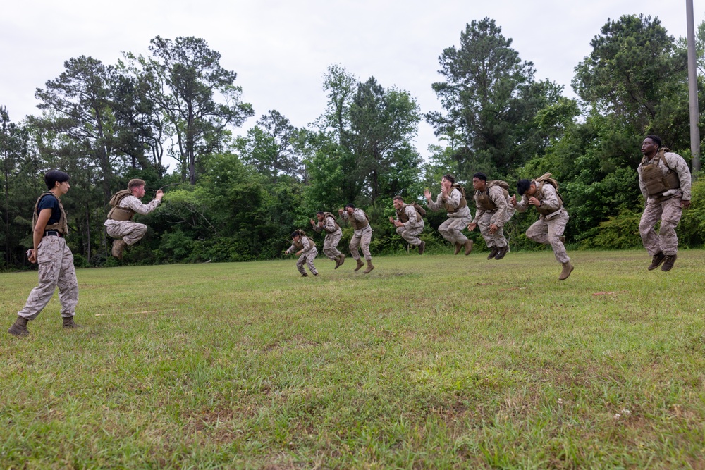 Marine Corps Martial Arts Instructor Course :Shamrock Drills