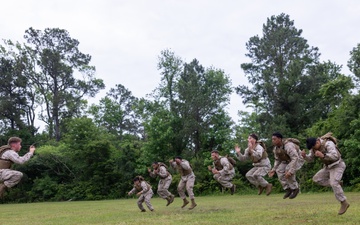 Marine Corps Martial Arts Instructor Course :Shamrock Drills