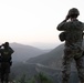 549th Military Police Company conducts joint patrol with Border Patrol at southern border
