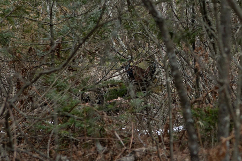 TACP, SERE Airmen conduct sensing operations against 820 BDG opposing forces at exercise Capri Sun