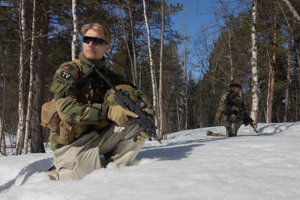 Swift Response 25 | U.S. Marines conduct Demolition Range with Norwegian Soldiers