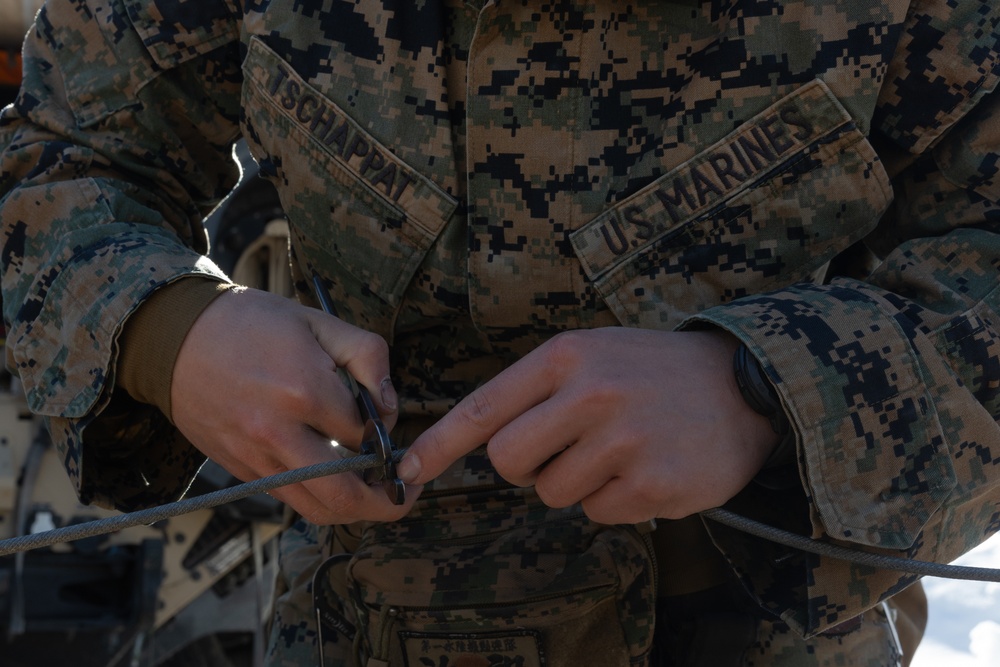 Swift Response 25 | U.S. Marines conduct Demolition Range with Norwegian Soldiers