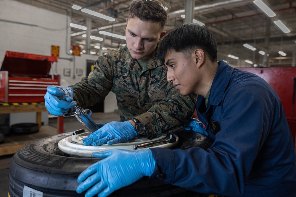 Mals-31 Tire Maintenance
