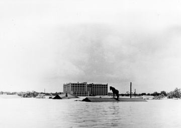 75 Years of Service to Fort Worth and Beyond