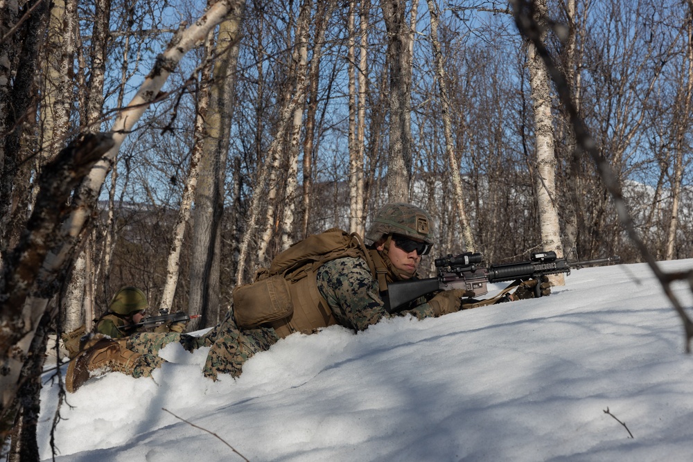 Swift Response 25 | U.S. Marines conduct Demolition Range with Norwegian Soldiers