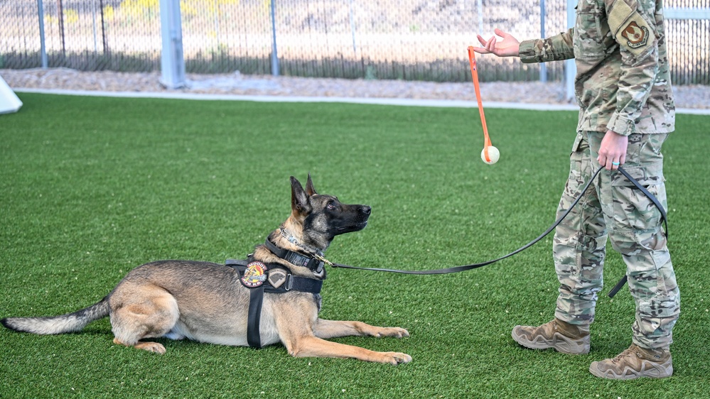 MWD Rex joins 75th Security Forces Squadron