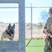 MWD Rex joins 75th Security Forces Squadron