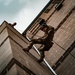 Descending into Readiness: TRF Rappel Training