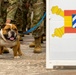 Rocky the Bulldog Patching Ceremony