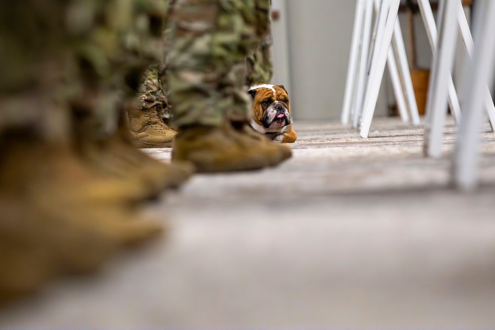 Rocky the Bulldog Patching Ceremony