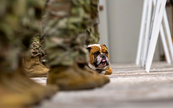 Rocky the Bulldog Patching Ceremony