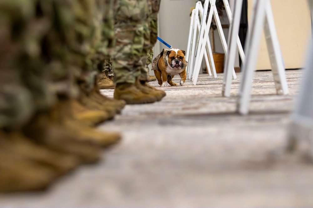 Rocky the Bulldog Patching Ceremony