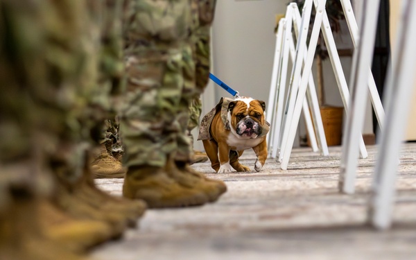 Rocky the Bulldog Patching Ceremony