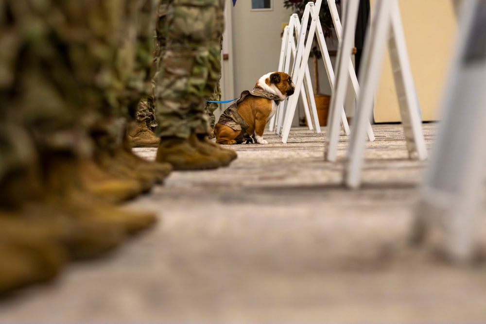 Rocky the Bulldog Patching Ceremony