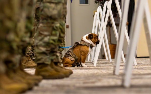 Rocky the Bulldog Patching Ceremony