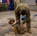 Rocky the Bulldog Patching Ceremony