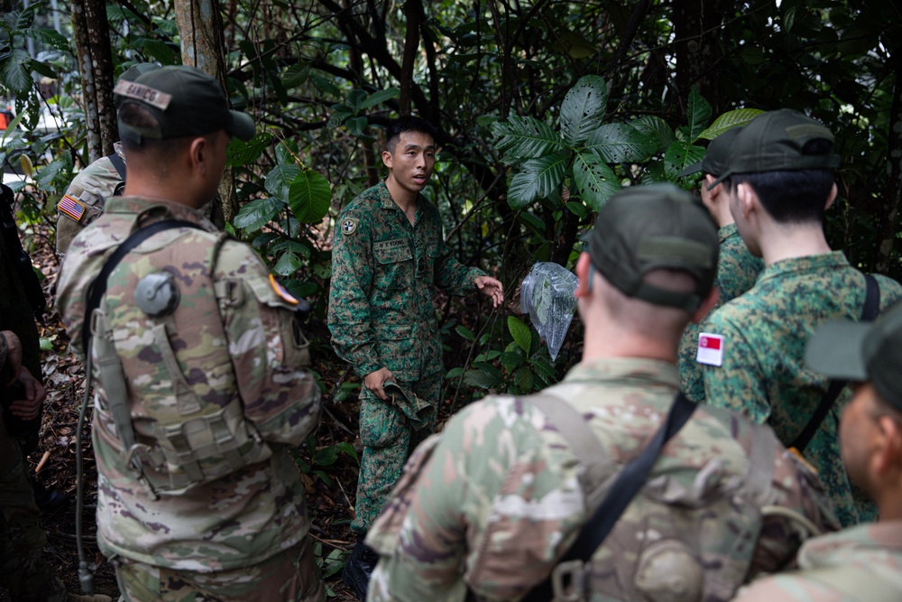 Bushmasters and SAF train with one another