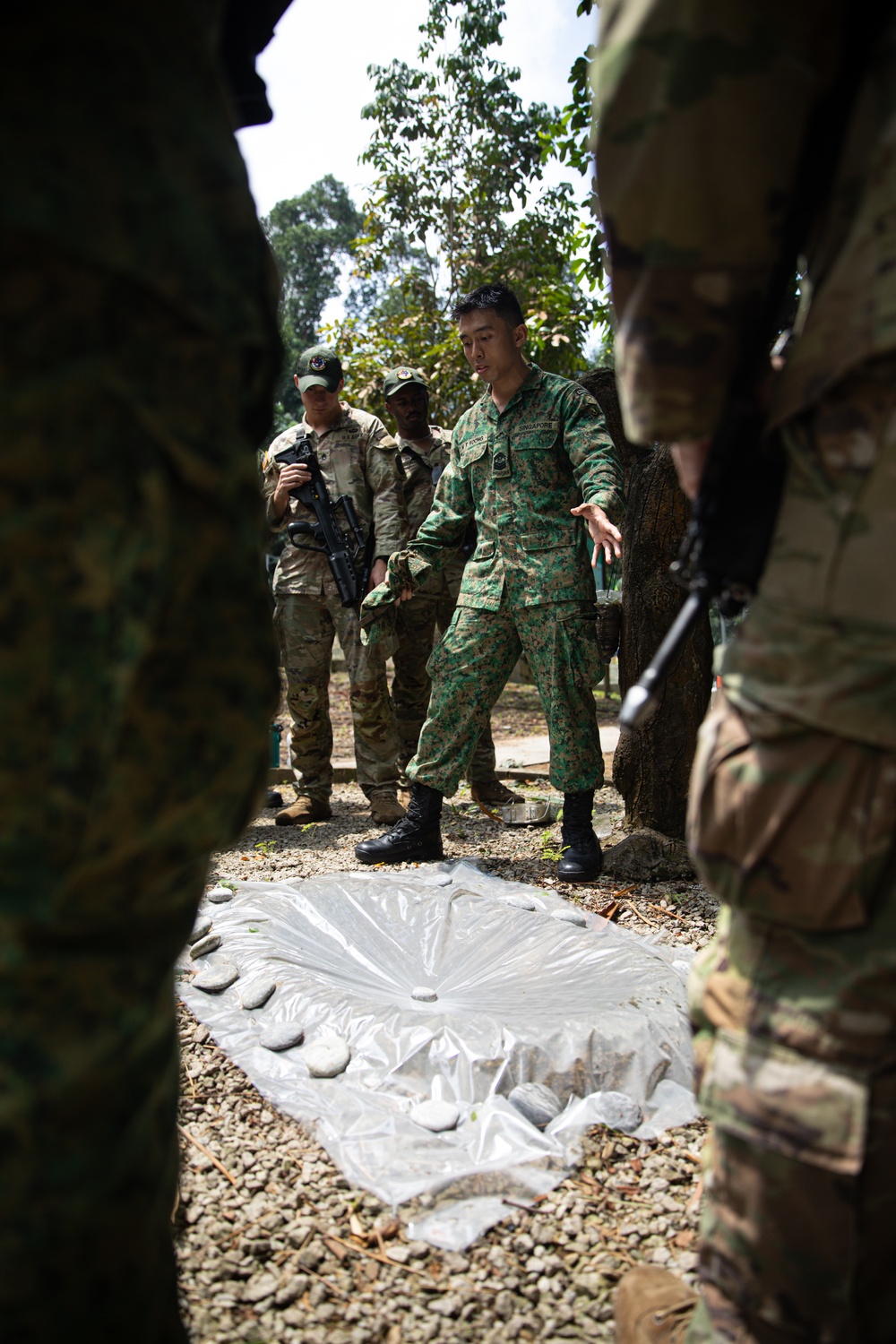 Bushmasters and SAF train with one another