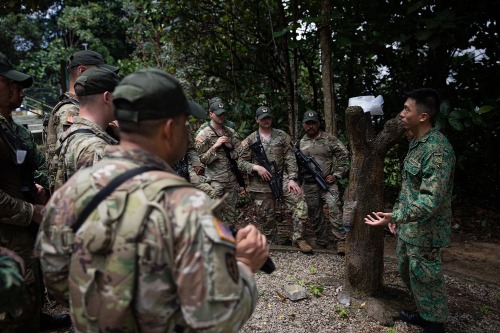 Bushmasters and SAF train with one another