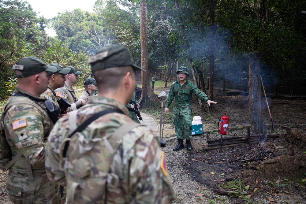 Bushmasters and SAF train with one another