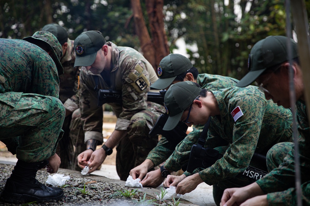 Bushmasters and SAF train with one another