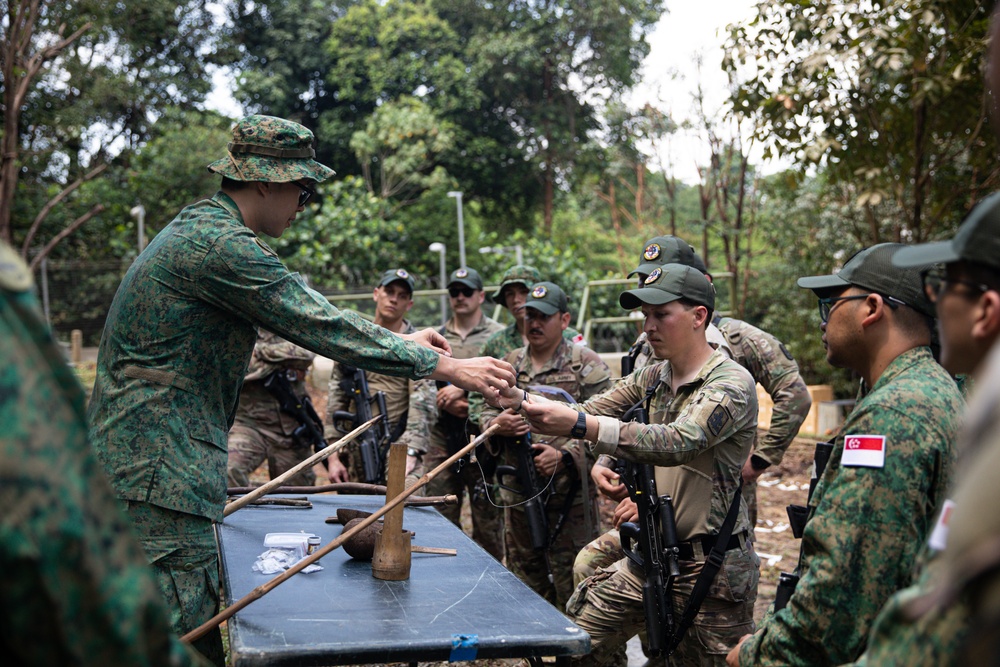 Bushmasters and SAF train with one another