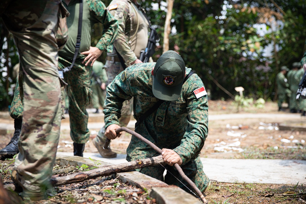 Bushmasters and SAF train with one another