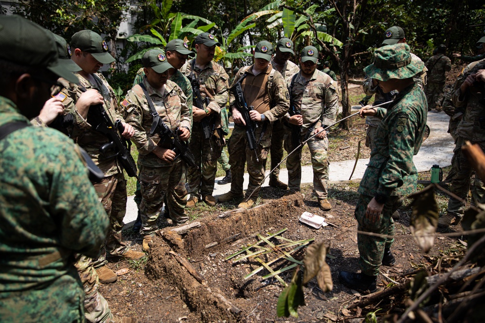Bushmasters and SAF train with one another